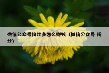微信公众号粉丝多怎么赚钱（微信公众号 粉丝）