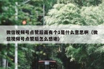 微信视频号点赞后面有个1是什么意思啊（微信视频号点赞后怎么感谢）