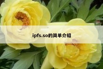 ipfs.so的简单介绍