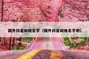 国外抖音叫啥名字（国外抖音叫啥名字啊）
