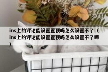 ins上的评论能设置置顶吗怎么设置不了（ins上的评论能设置置顶吗怎么设置不了呢）