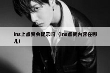 ins上点赞会提示吗（ins点赞内容在哪儿）