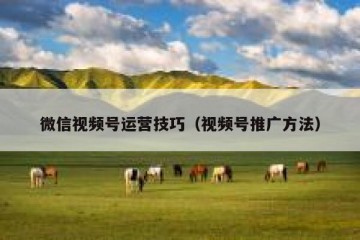 微信视频号运营技巧（视频号推广方法）