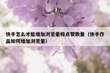 快手怎么才能增加浏览量和点赞数量（快手作品如何增加浏览量）