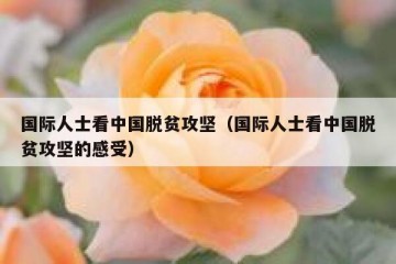 国际人士看中国脱贫攻坚（国际人士看中国脱贫攻坚的感受）