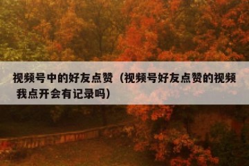 视频号中的好友点赞（视频号好友点赞的视频 我点开会有记录吗）