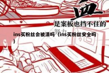 ins买粉丝会被清吗（ins买粉丝安全吗）