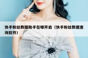 快手粉丝数据助手在哪开启（快手粉丝数据查询软件）