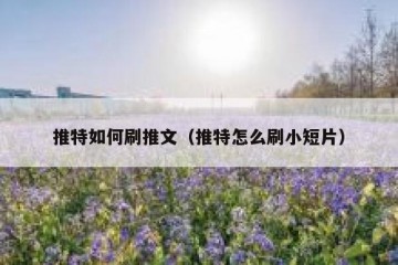 推特如何刷推文（推特怎么刷小短片）