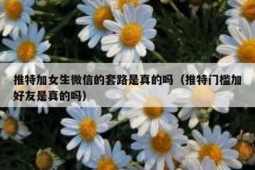 推特加女生微信的套路是真的吗（推特门槛加好友是真的吗）