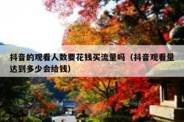 抖音的观看人数要花钱买流量吗（抖音观看量达到多少会给钱）