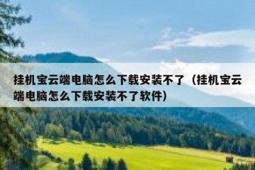 挂机宝云端电脑怎么下载安装不了（挂机宝云端电脑怎么下载安装不了软件）