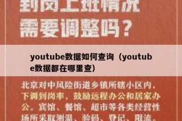 youtube数据如何查询（youtube数据都在哪里查）
