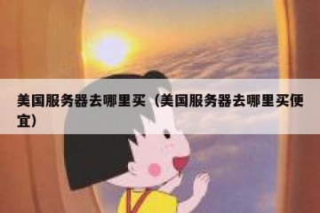 美国服务器去哪里买（美国服务器去哪里买便宜）