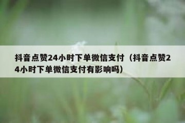 抖音点赞24小时下单微信支付（抖音点赞24小时下单微信支付有影响吗）