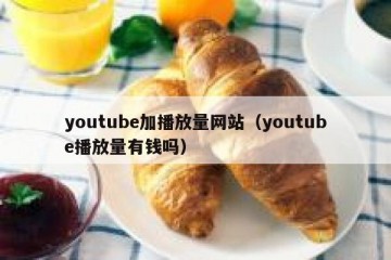 youtube加播放量网站（youtube播放量有钱吗）
