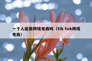一个人能做跨境电商吗（tik tok跨境电商）