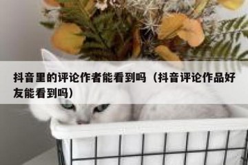 抖音里的评论作者能看到吗（抖音评论作品好友能看到吗）