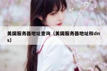 美国服务器地址查询（美国服务器地址和dns）