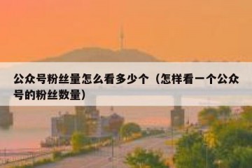 公众号粉丝量怎么看多少个（怎样看一个公众号的粉丝数量）