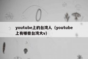youtube上的台湾人（youtube上有哪些台湾大v）