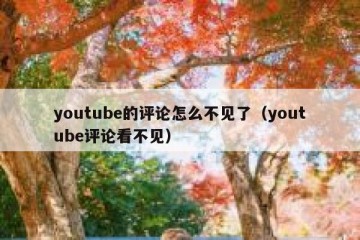 youtube的评论怎么不见了（youtube评论看不见）