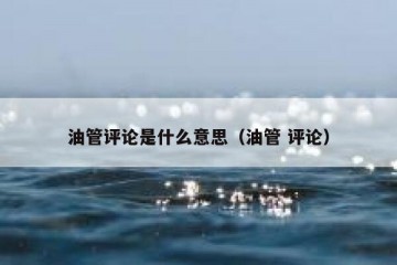 油管评论是什么意思（油管 评论）