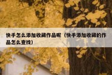 快手怎么添加收藏作品呢（快手添加收藏的作品怎么查找）