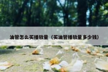 油管怎么买播放量（买油管播放量多少钱）