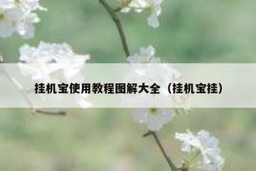 挂机宝使用教程图解大全（挂机宝挂）