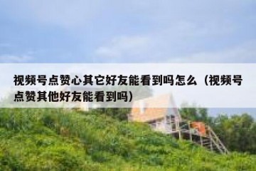 视频号点赞心其它好友能看到吗怎么（视频号点赞其他好友能看到吗）