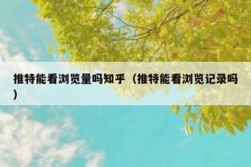 推特能看浏览量吗知乎（推特能看浏览记录吗）