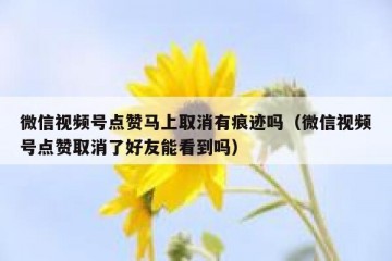微信视频号点赞马上取消有痕迹吗（微信视频号点赞取消了好友能看到吗）