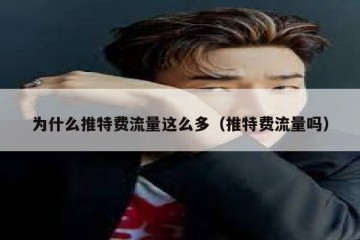 为什么推特费流量这么多（推特费流量吗）
