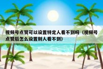 视频号点赞可以设置特定人看不到吗（视频号点赞后怎么设置别人看不到）