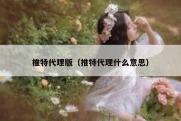 推特代理版（推特代理什么意思）