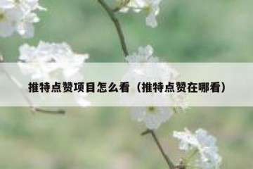 推特点赞项目怎么看（推特点赞在哪看）