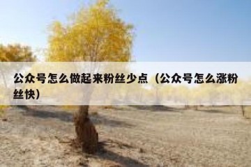 公众号怎么做起来粉丝少点（公众号怎么涨粉丝快）