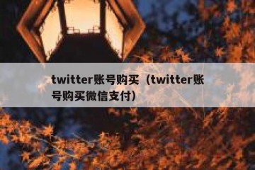twitter账号购买（twitter账号购买微信支付）