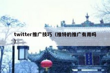 twitter推广技巧（推特的推广有用吗）