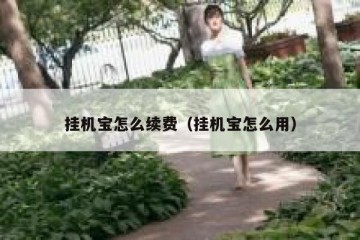 挂机宝怎么续费（挂机宝怎么用）