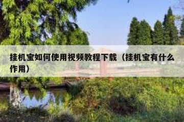 挂机宝如何使用视频教程下载（挂机宝有什么作用）