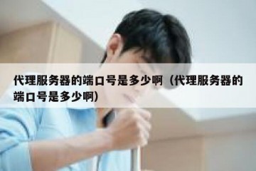 代理服务器的端口号是多少啊（代理服务器的端口号是多少啊）