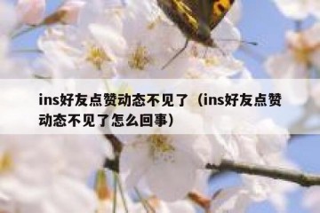 ins好友点赞动态不见了（ins好友点赞动态不见了怎么回事）