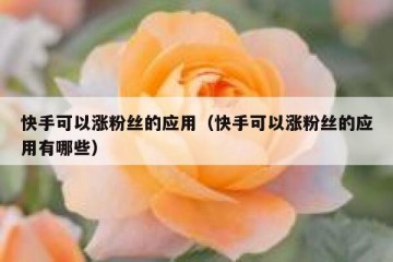 快手可以涨粉丝的应用(快手可以涨粉丝的应用有哪些)