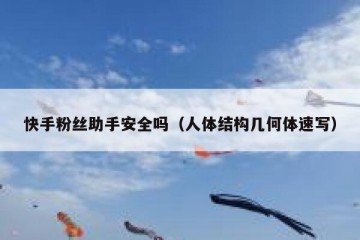快手粉丝助手安全吗（人体结构几何体速写）