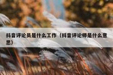 抖音评论员是什么工作（抖音评论师是什么意思）
