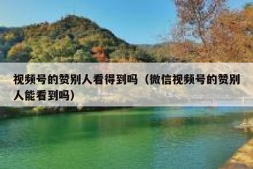 视频号的赞别人看得到吗（微信视频号的赞别人能看到吗）