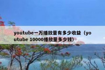 youtube一万播放量有多少收益（youtube 10000播放量多少钱）
