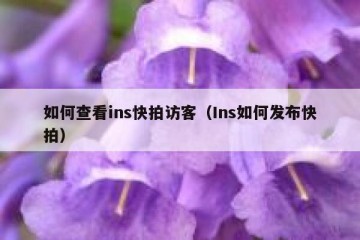 如何查看ins快拍访客（Ins如何发布快拍）